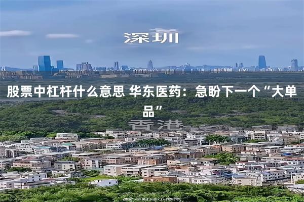 股票中杠杆什么意思 华东医药：急盼下一个“大单品”