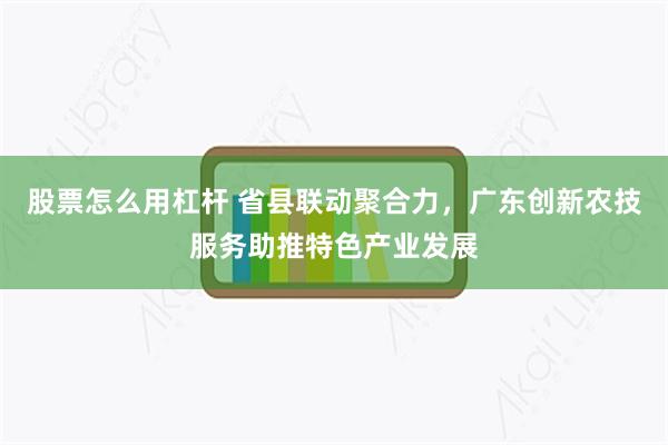 股票怎么用杠杆 省县联动聚合力，广东创新农技服务助推特色产业发展