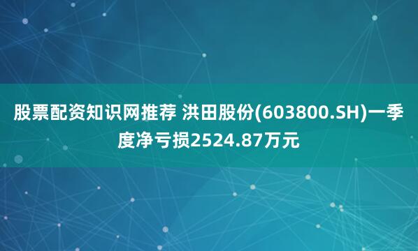 股票配资知识网推荐 洪田股份(603800.SH)一季度净亏损2524.87万元