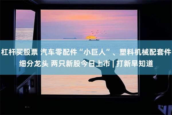 杠杆买股票 汽车零配件“小巨人”、塑料机械配套件细分龙头 两只新股今日上市 | 打新早知道