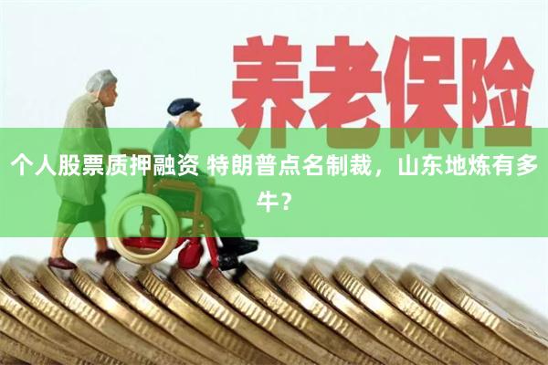 个人股票质押融资 特朗普点名制裁，山东地炼有多牛？
