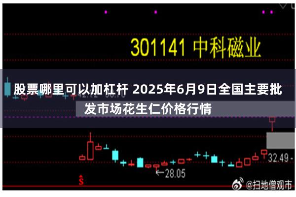 股票哪里可以加杠杆 2025年6月9日全国主要批发市场花生仁价格行情