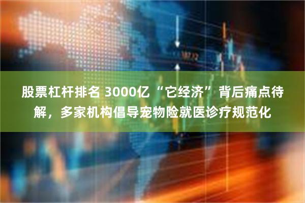 股票杠杆排名 3000亿 “它经济” 背后痛点待解，多家机构倡导宠物险就医诊疗规范化